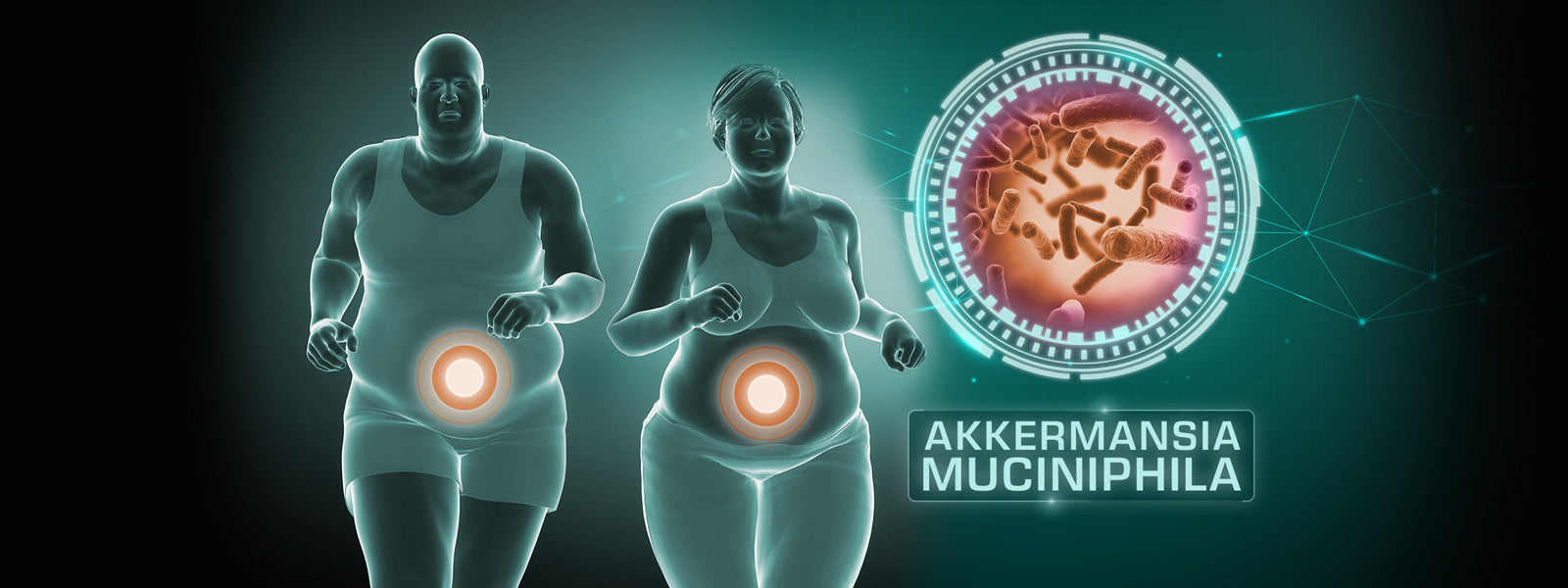 The Role of Akkermansia Muciniphila in Obesity and Weight Control